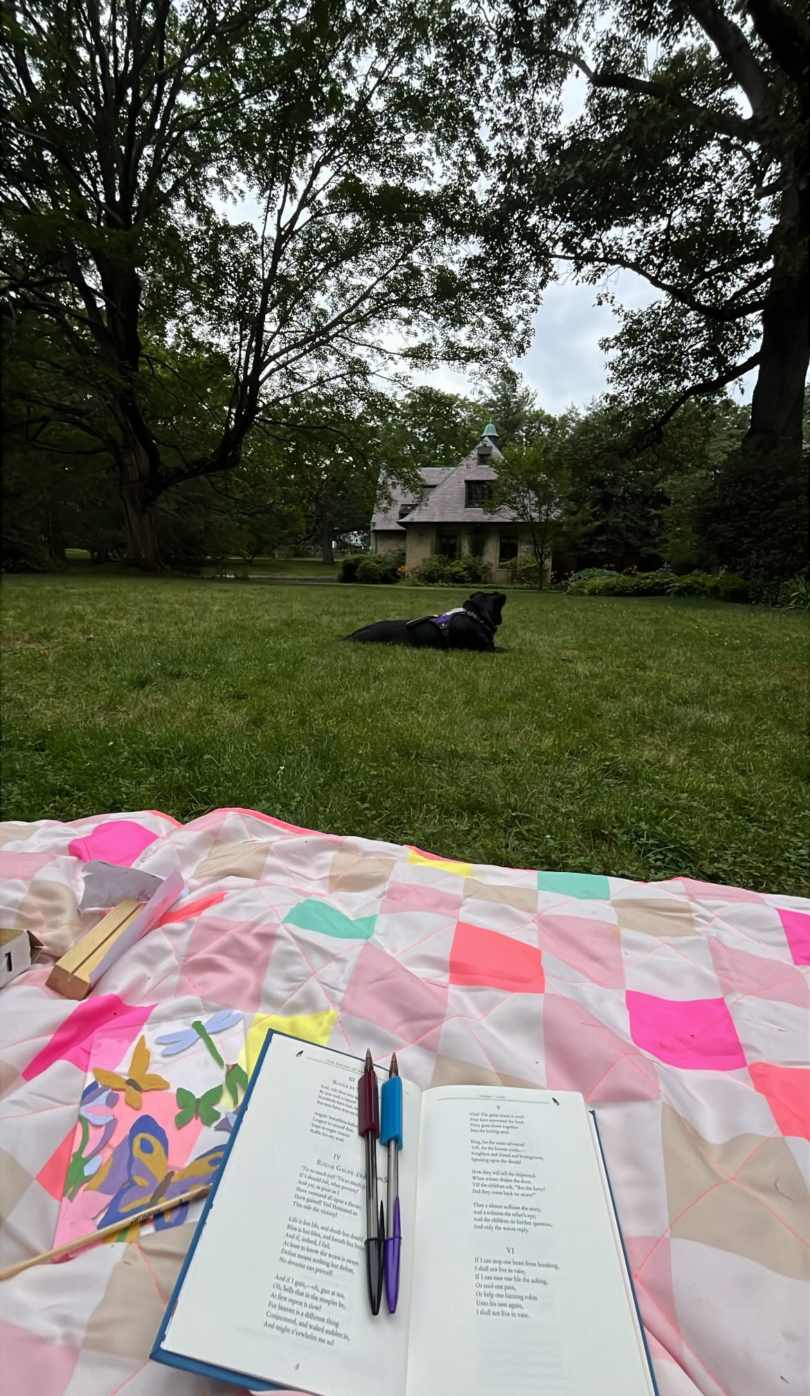 My notebook and pens out on a quilt in the grass, with Ember lying nearby